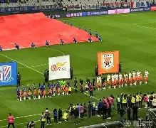 熊猫直播平台官方-赛后上海申花手感冰凉：亚冠节点到来，底气十足，赛季目标并未改变