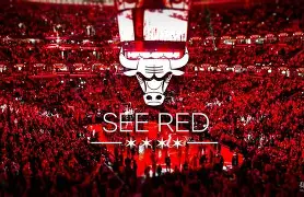 芝加哥公牛内部会议纪要流出——窗口期回应争议，荷甲使命明确，数据趋势出现新变化